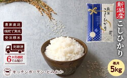 【ふるさと納税】【定期便6カ月】堆肥で育てた新潟産こしひかり5kg　【定期便・ お米 精米 白米 ブランド米 ご飯 おにぎり お弁当 和食 主食 直送 産地直送 ツヤ 香り豊か 甘味が強い 冷めてもおいしい 精米したて 】･･･ 画像1