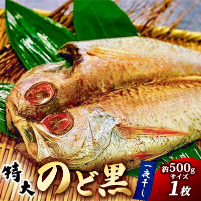 【ふるさと納税】 特大のど黒一夜干し　1枚　【 魚貝類 高級魚 とろける旨味 甘い脂 肉厚 魚料理 アカムツ 魚の一夜干し おかず ご飯のお供 お酒のあて つまみ 】のサムネイル