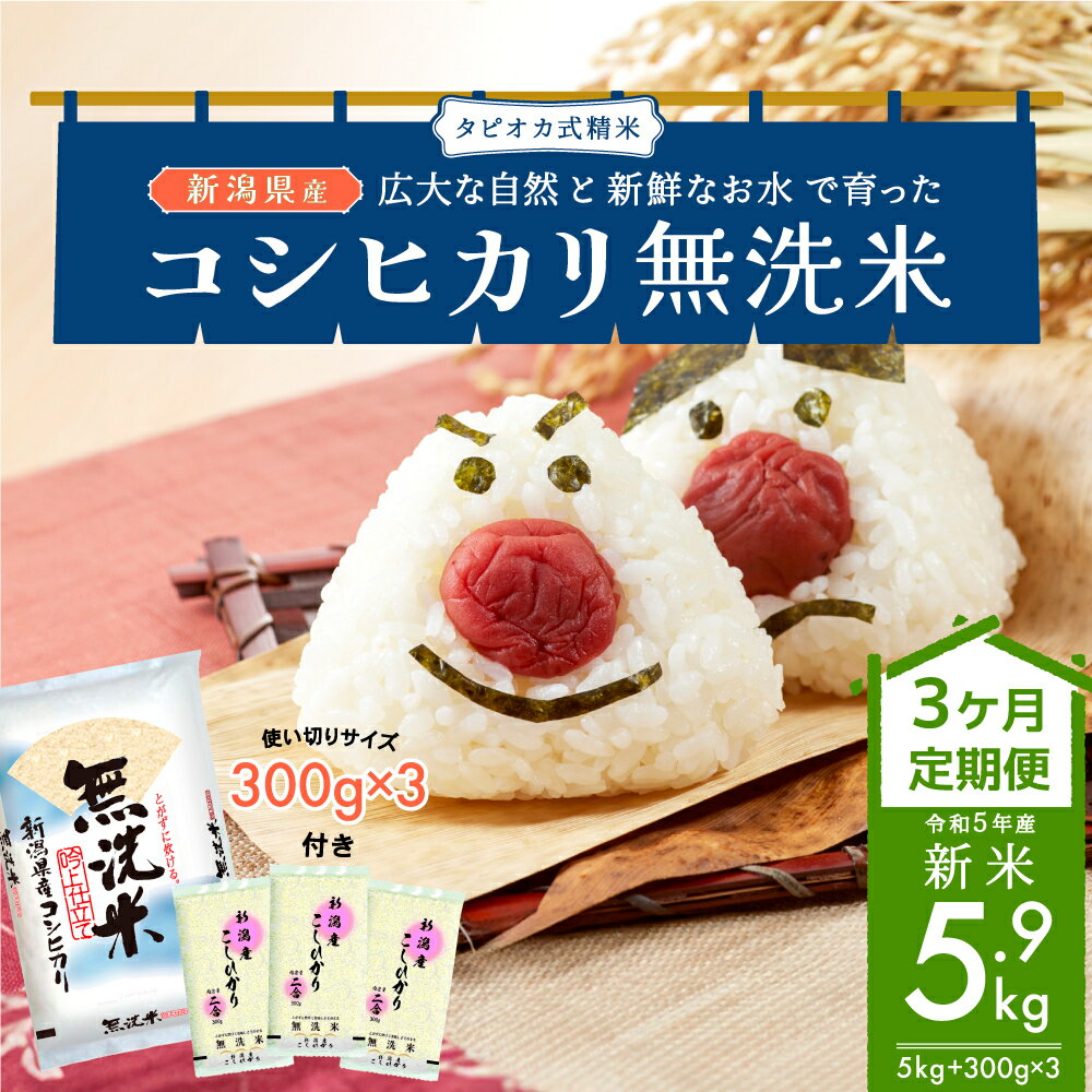 無洗米新潟産コシヒカリセット3ヵ月定期 5kg ＋ 300g×3 定期便 3ヶ月 米 産地直送 お米 こめ おこめ コメ 無洗米 コシヒカリ こしひかり セット ご飯 ごはん 白米 新潟 3回 お楽しみ　【定期便・ 新潟市 】