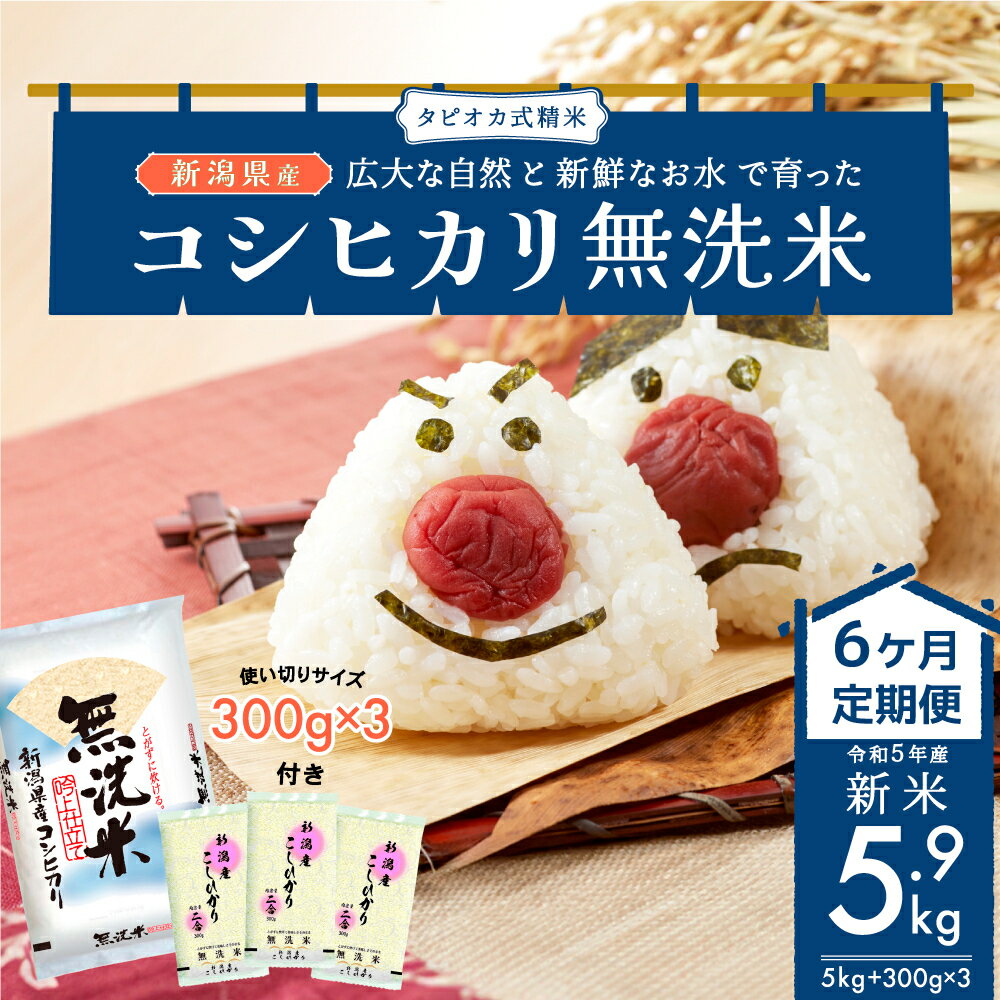 無洗米新潟産コシヒカリ増量セット6ヵ月定期 5kg ＋ 300g×3 定期便 6ヶ月 米 産地直送 お米 こめ おこめ コメ 無洗米 コシヒカリ こしひかり セット ご飯 ごはん 白米 新潟 半年 6回 お楽しみ　【定期便・ 新潟市 】