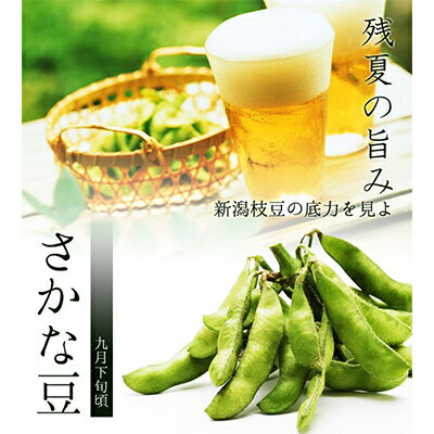 【ふるさと納税】新潟県黒埼産 さかな豆1.5kg　 野菜 豆類 つまみ ビールのあて ビールに合う ビールのおつまみ 直送 晩成品種 甘い 風味豊か コク 　お届け：2024年9月下旬～10月上旬のサムネイル