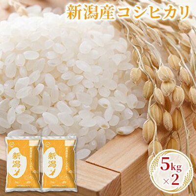 新潟産コシヒカリ 5kg×2　【 お米 精米 白米 ご飯 ブランド米 銘柄米 ご飯 おにぎり お弁当 産地直送 】