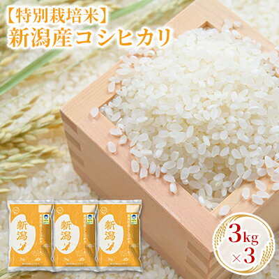【特別栽培米】新潟産コシヒカリ 3kg×3　【 お米 精米 白米 ご飯 ブランド米 銘柄米 ご飯 おにぎり お弁当 産地直送 】