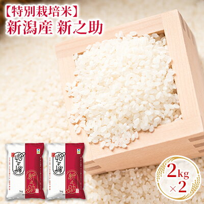 19位! 口コミ数「0件」評価「0」【特別栽培米】新潟産新之助 2kg×2　【 お米 精米 白米 ご飯 ブランド米 銘柄米 ご飯 おにぎり お弁当 産地直送 】