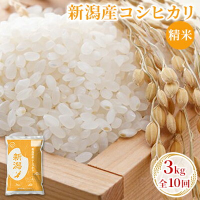 新潟産コシヒカリ精米3kg　全10回　【定期便・ お米 精米 白米 ご飯 ブランド米 銘柄米 ご飯 おにぎり お弁当 産地直送 】