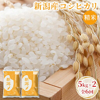 新潟産コシヒカリ精米5kg×2　全6回　【定期便・ お米 精米 白米 ご飯 ブランド米 銘柄米 ご飯 おにぎり お弁当 産地直送 】