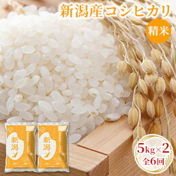 【ふるさと納税】新潟産コシヒカリ精米5kg×2　全6回　【定期便・ お米 精米 白米 ご飯 ブランド米 銘柄米 ご飯 おにぎり お弁当 産地直送 】