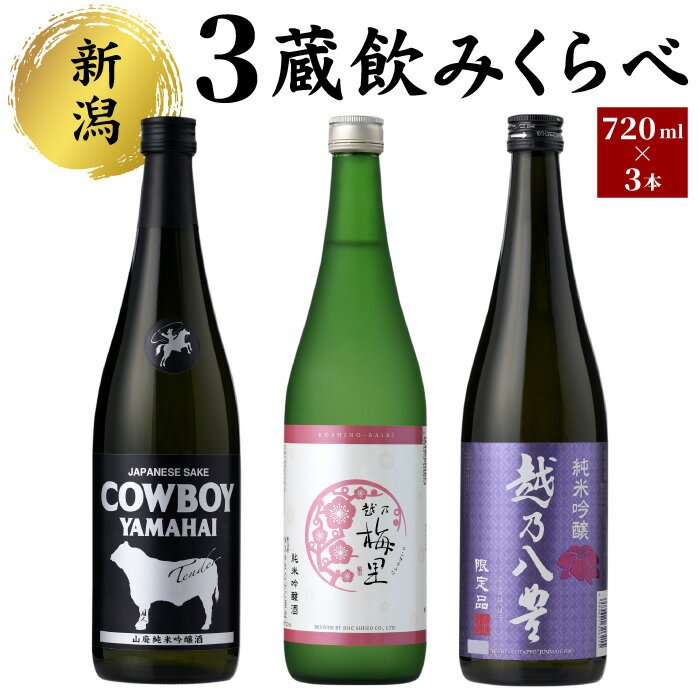 【ふるさと納税】新潟3蔵元純米吟醸のみくらべセット　【 お酒 日本酒 DHC酒造 塩川酒造 越後酒造場 コク 極上のキレ すっきり 旨み 華やか フルーティ 辛口 新潟県産米100% 】