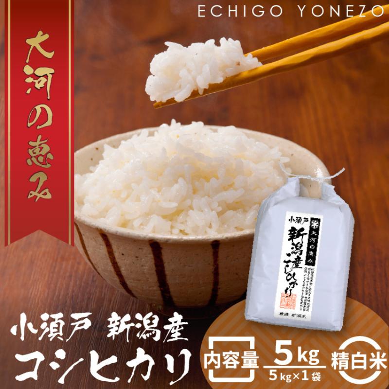 新潟市 秋葉区小須戸産コシヒカリ 白米 5kg　【 お米 精米 ご飯 代表 自然 飽きない 自信 美味しい 】