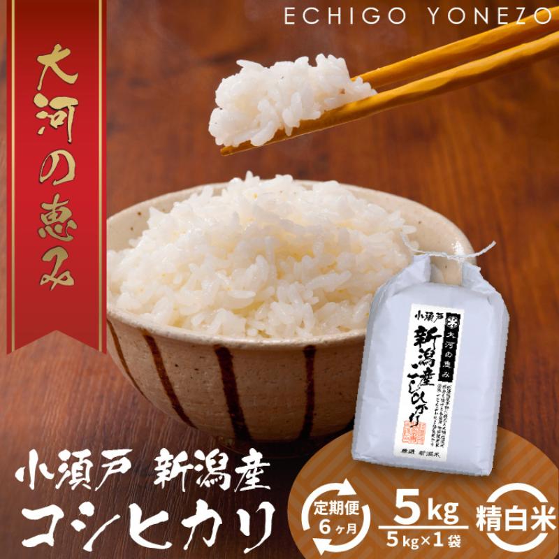 【定期便6ヶ月】新潟市 秋葉区小須戸産コシヒカリ 白米 5kg　【定期便・ お米 精米 ご飯 代表 自然 飽きない 自信 美味しい 】