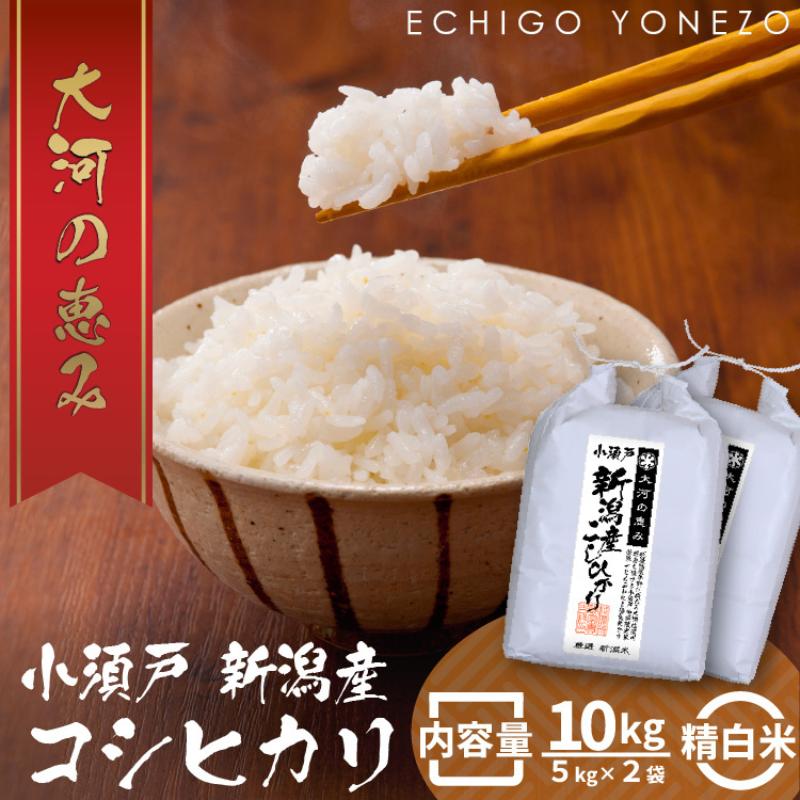 新潟市 秋葉区小須戸産コシヒカリ 白米 10kg　【 お米 精米 ご飯 代表 自然 飽きない 自信 美味しい 】