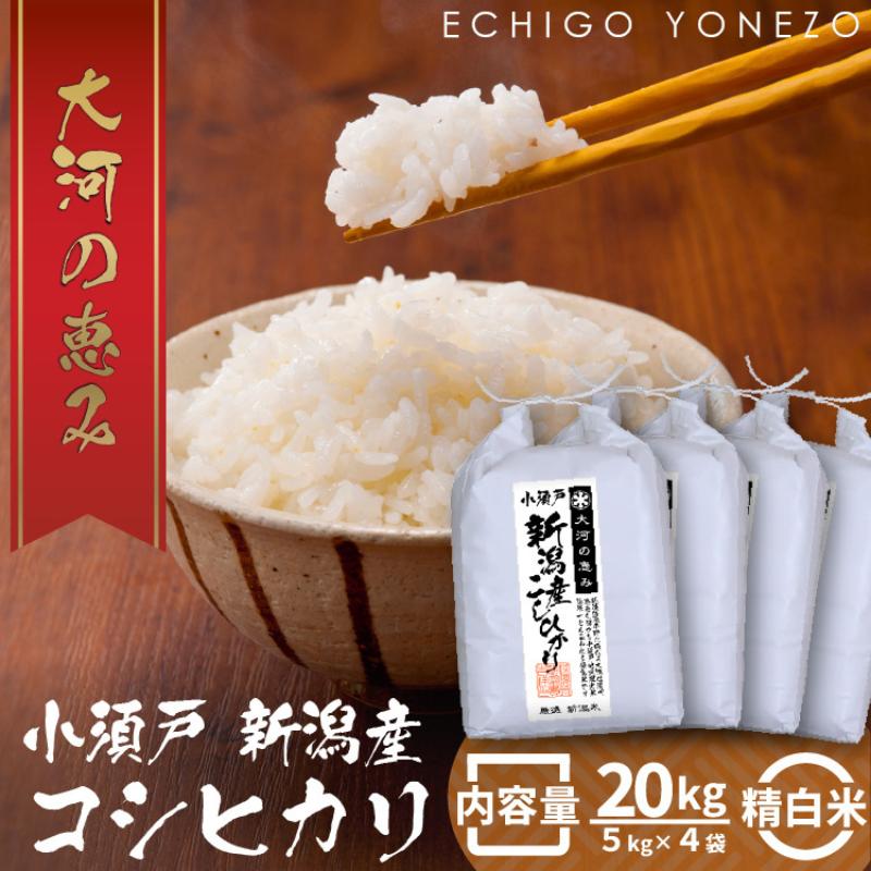 新潟市 秋葉区小須戸産コシヒカリ 白米 20kg　【 お米 精米 ご飯 代表 自然 飽きない 自信 美味しい 】