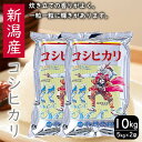 新潟産コシヒカリ10kg コシヒカリ 10kg 米 お米 こめ コメ おこめ 新潟　