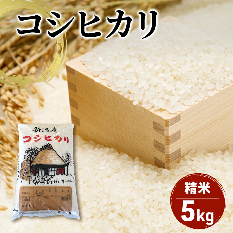 [令和7年産]新潟産 コシヒカリ精米5kg「従来品種」 お米 ご飯 食卓 主食 おにぎり お弁当 国産 日本産 ブランド米 お届け:2025年10月下旬〜2026年2月末まで