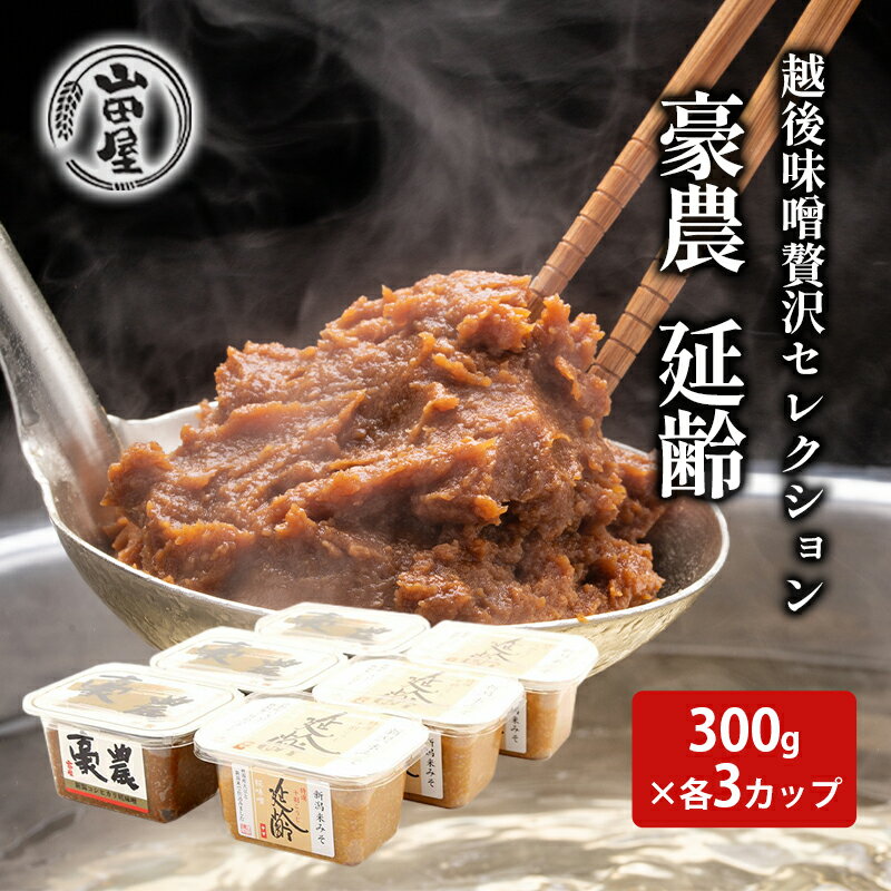 13位! 口コミ数「0件」評価「0」越後味噌贅沢セレクション300g×各3カップ　【 調味料 料理 調理 味付け 和食 日本食 みそ汁 】