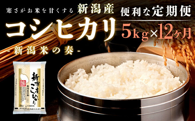 【ふるさと納税】【定期便】新潟産コシヒカリ5kg×12回 米 定期便 12ヶ月 コシヒカリ 5kg 精米 白米 こめ コメ お米 おこめ こしひかり 新潟 新潟県 12回 1年　【定期便・ 新潟市 】