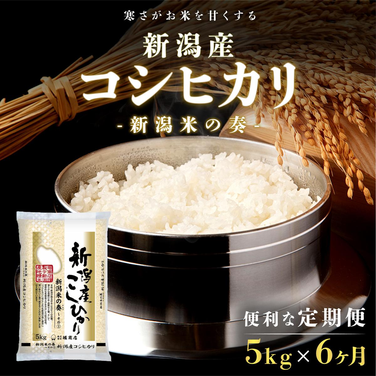 【ふるさと納税】【定期便】新潟産コシヒカリ5kg×6回 米 定期便 6ヶ月 コシヒカリ 5kg 精米 白米 こめ...