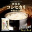 【ふるさと納税】【定期便】新潟産コシヒカリ5kg×6回 米 定期便 6ヶ月 コシヒカリ 5kg 精米 白米 こめ コメ お米 おこめ こしひかり 新潟 新潟県 6回 半年　【定期便・ 新潟市 】