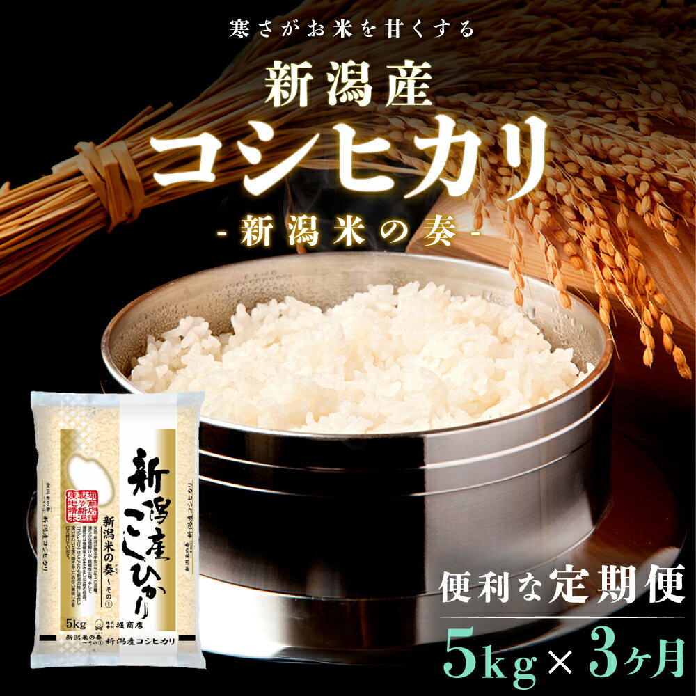 12位! 口コミ数「1件」評価「5」【定期便】新潟産コシヒカリ5kg×3回 米 定期便 3ヶ月 コシヒカリ 5kg 精米 白米 こめ コメ お米 おこめ こしひかり 新潟 新潟･･･ 