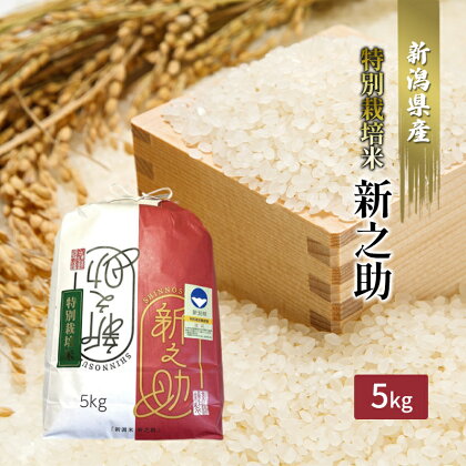 【カガヤキ農園】特別栽培米　新之助5kg　【 お米 白米 精米 ブランド米 銘柄米 ご飯 おにぎり お弁当 和食 新ブランド 大粒 輝き ツヤ 香り豊か 甘み もちもち 】