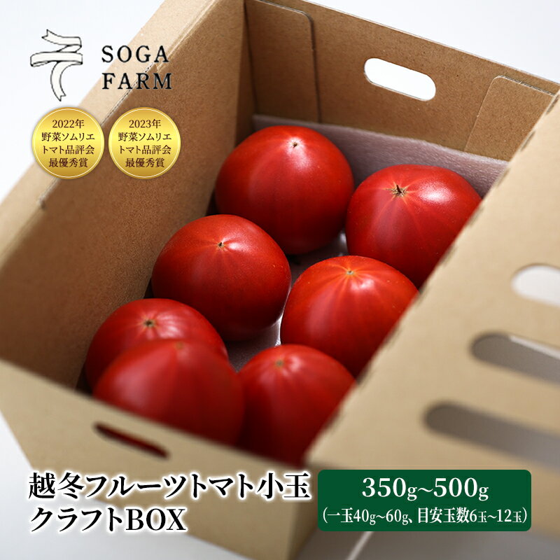 【ふるさと納税】【2024年6月発送】SOGA FARM　越冬フルーツトマト小玉　クラフトBOX　　【 野菜 国産 国産野菜 日本産 サラダ 付け合わせ 】　お届け：2024年6月上旬～6月下旬のサムネイル