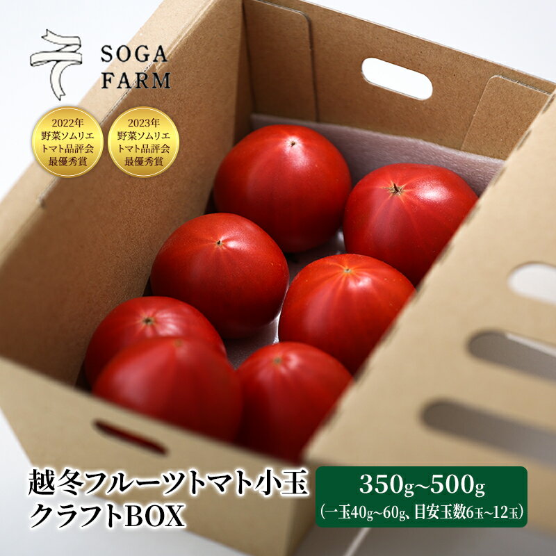 【ふるさと納税】【2024年6月発送】SOGA FARM　越冬フルーツトマト小玉　クラフトBOX 2024年 先行予約 トマト 野菜 フルーツトマト 高糖度 とまと 新潟　【 新潟市 】　お届け：2024年6月上旬～6月下旬