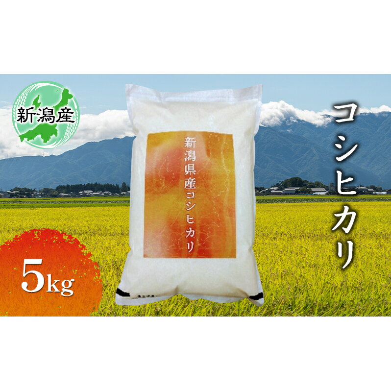 新潟産コシヒカリ 5kg [お米・コシヒカリ]