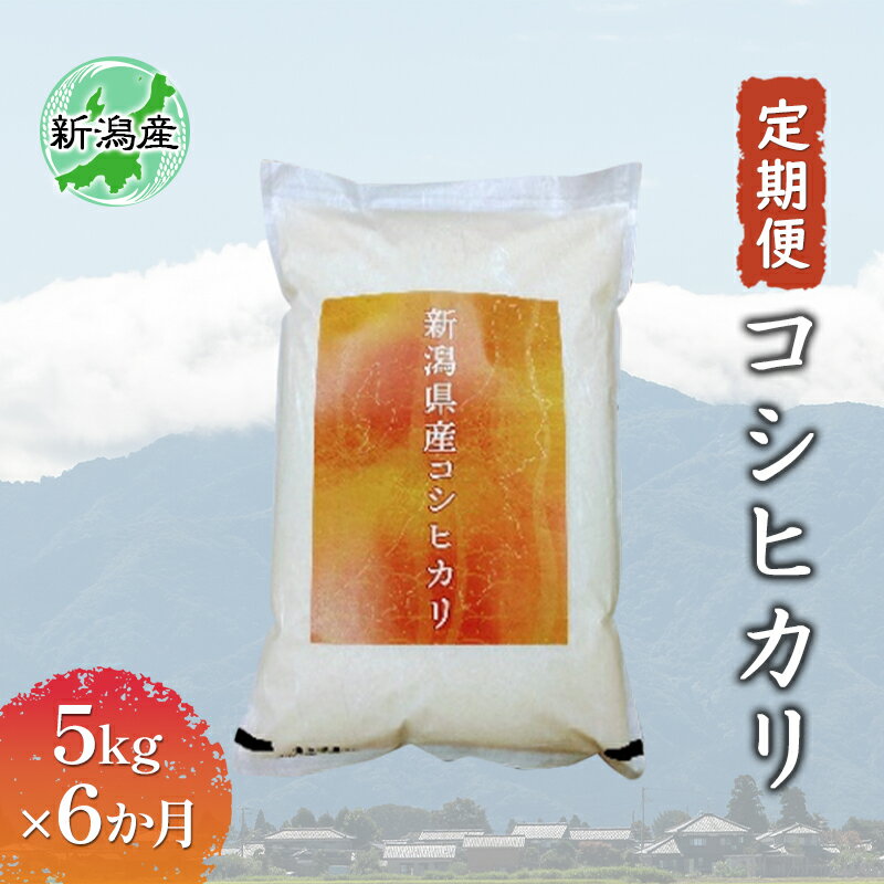 2位! 口コミ数「0件」評価「0」新潟産コシヒカリ 5kg 全6回　【定期便・お米・コシヒカリ】