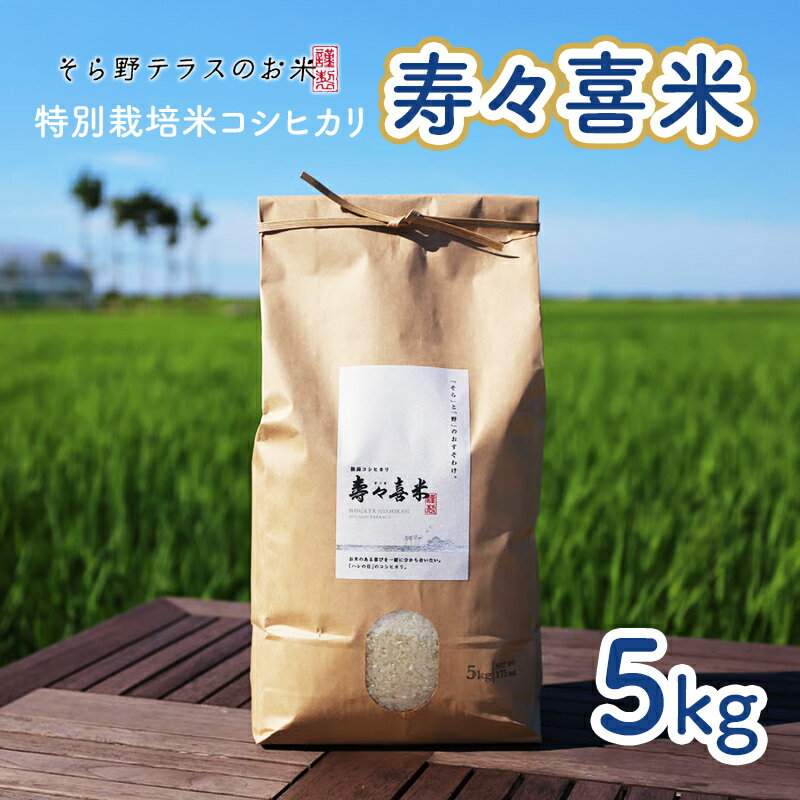 特別栽培米コシヒカリ 寿々喜米 5kg(精米) 特別栽培米 コシヒカリ 米 お米 こめ コメ おこめ 新潟 [ 新潟市 ]