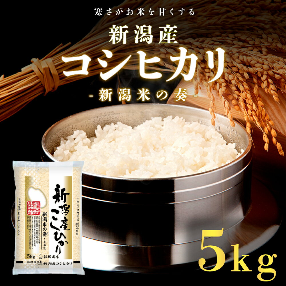 【ふるさと納税】新潟産コシヒカリ5kg　【 新潟市 】