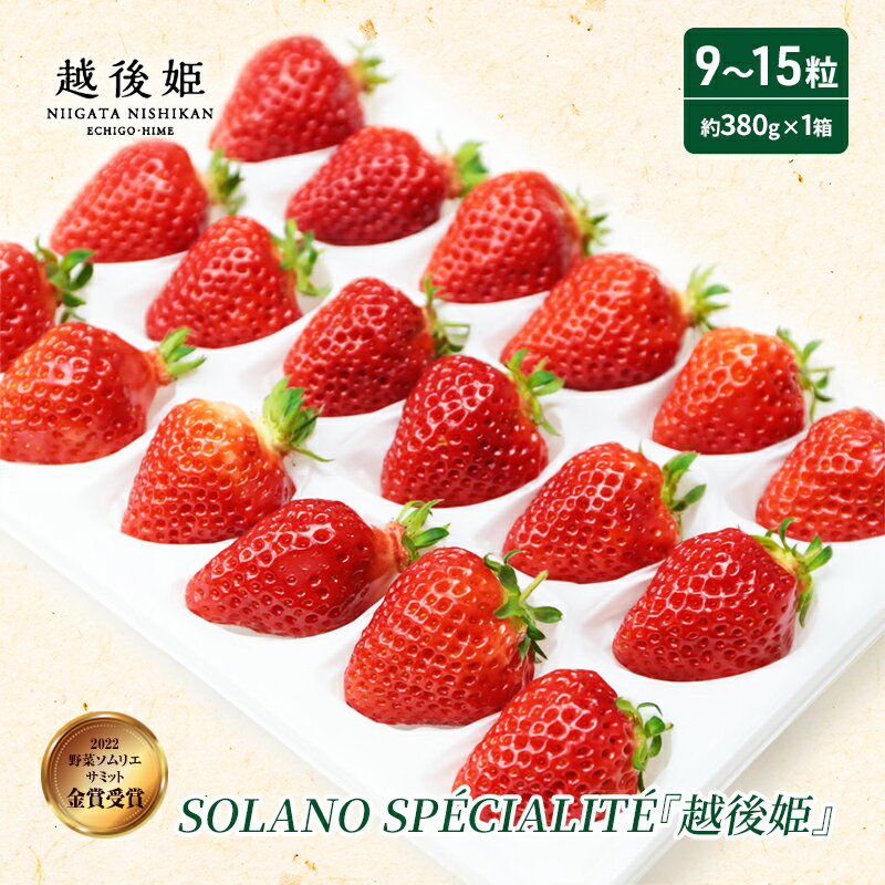 【ふるさと納税】SOLANO SPECIALITE『越後姫』9～15粒　【 いちご 苺 イチゴ 果物類 果物 フルーツ 】　お届け：2024年5月末まで