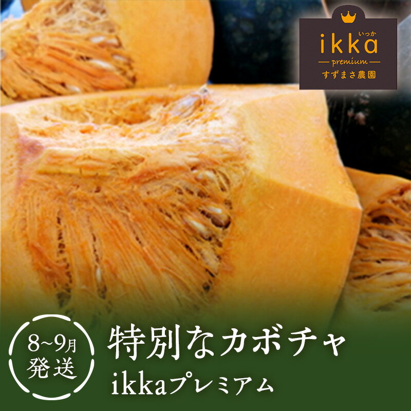 【ふるさと納税】特別なカボチャ ikkaプレミアム【8月-9月発送】　【 野菜 南瓜 甘い ホクホク 】　お..