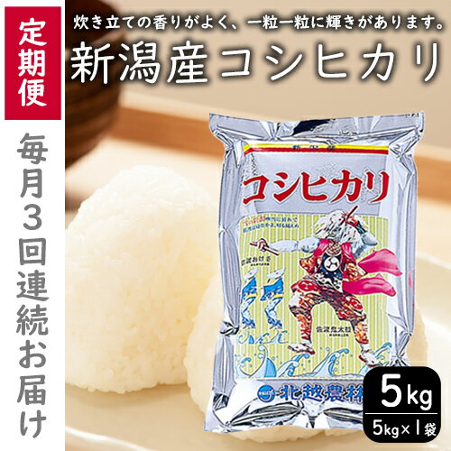 こしひかり 新潟産 コシヒカリ 5kg 毎月3回 連続でお届けします。定期便 米 お米 こめ コメ ごはん 新潟 白米 コシヒカリ ブランド米 銘柄米 お取り寄せ 産地直送 お届け:申込月の翌月から開始