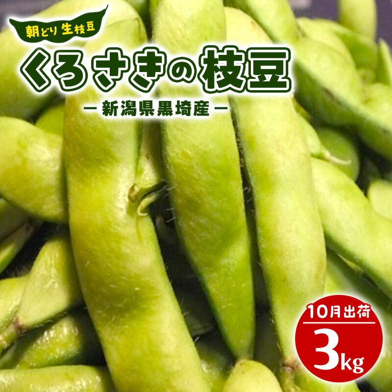 【ふるさと納税】先行予約 朝どり 生枝豆 くろさきの枝豆 3kg 2025年10月発送 新潟県黒埼産 生 枝豆 えだまめ えだ豆 新潟　お届け：2025年9月中旬～10月中旬