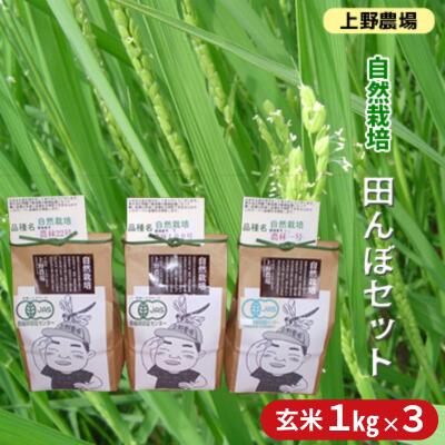 【ふるさと納税】上野農場 自然栽培田んぼセット 玄米1kg×3袋 お米 米 玄米 新潟市