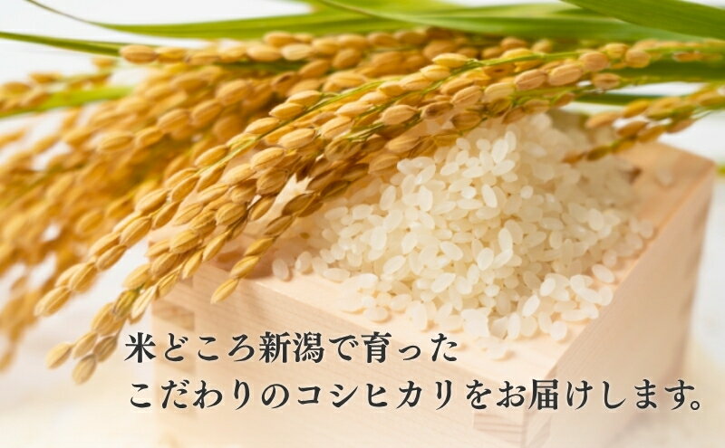 新潟県新潟市の画像3