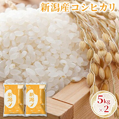 [先行予約]R8年産新潟産コシヒカリ 5kg×2 お米 精米 白米 ご飯 ブランド米 銘柄米 おにぎり お弁当 産地直送 お届け:2026年10月上旬〜2027年9月下旬