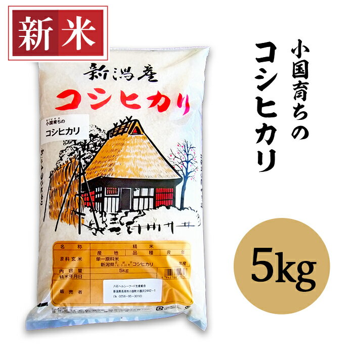 【ふるさと納税】米 5kg コシヒカリ 白米 新潟 令和5年 新米 58-01小国育ちのコシヒカリ5kgのサムネイル