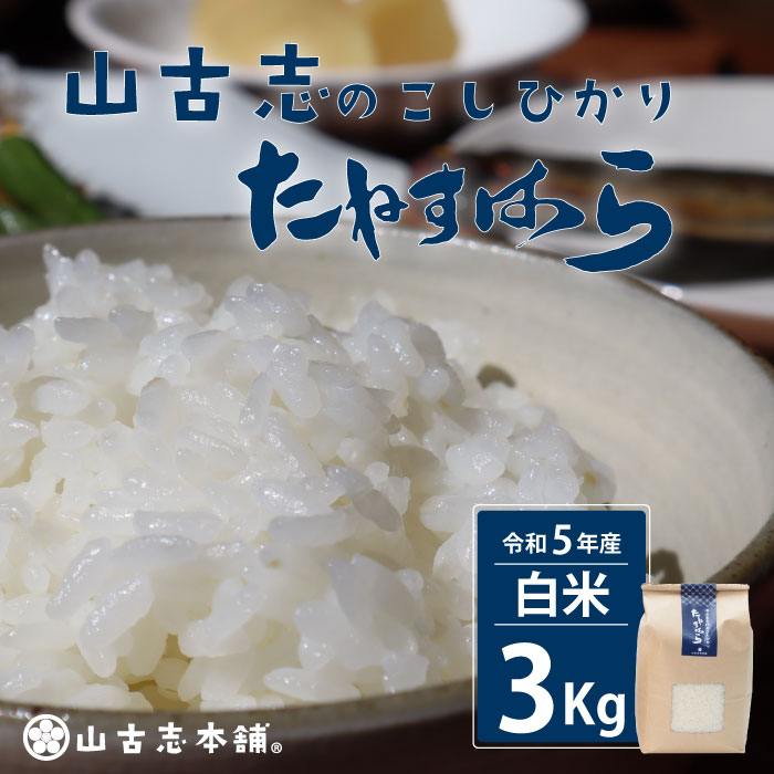 米 定期便 3kg 白米 新潟こしひかり 令和5年 G3-04旧山古志村のこしひかり「たねすはら米」白米3kg（新潟県産コシヒカリ）