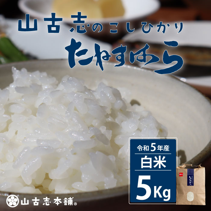 【ふるさと納税】米 5kg コシヒカリ 白米 新潟 令和5年 G3-05旧山古志村のこしひかり「たねすはら米」白米5kg（新潟県産コシヒカリ）