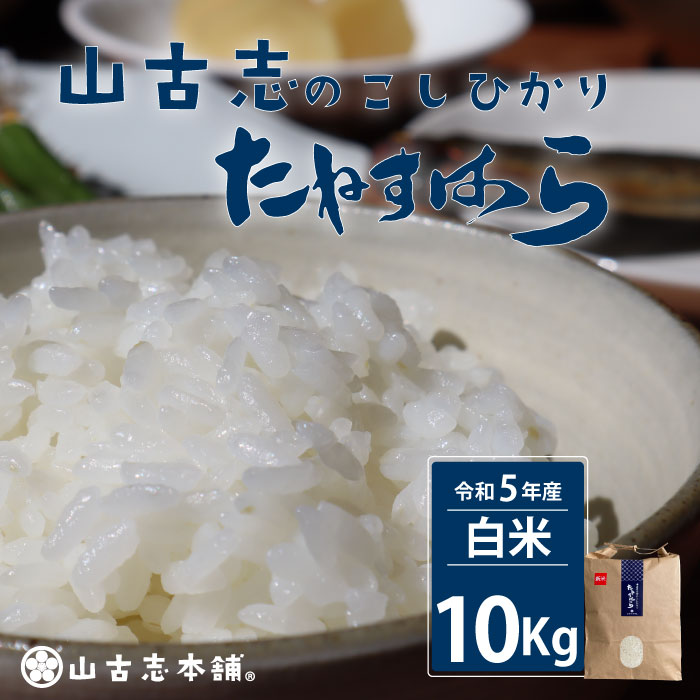 【ふるさと納税】米 10kg 白米 コシヒカリ 新潟 令和5年 G3-06旧山古志村のこしひかり「たねすはら米」白米10kg（新潟県産コシヒカリ）