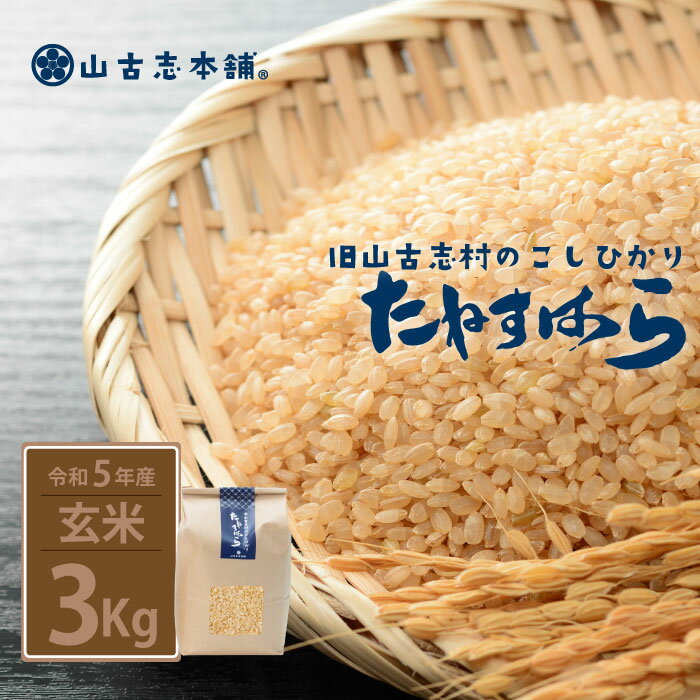 【ふるさと納税】米 玄米 コシヒカリ 新潟 令和5年 G3-09旧山古志村のこしひかり「たねすはら米」玄米3kg（新潟県産コシヒカリ）