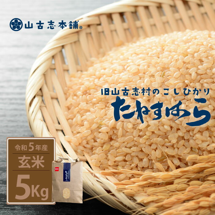 【ふるさと納税】米 5kg 玄米 コシヒカリ 新潟 令和5年 G3-10旧山古志村のこしひかり「たねすはら米」玄米5kg（新潟県産コシヒカリ）