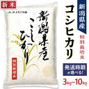 【ふるさと納税】新米予約 令和7年産 先行予約 米 新潟 コシヒカリ 特別栽培米 選べる重量 3kg 5kg 10kg(5kg×2袋) 選べる発送時期 9月 10月11月 12月 上旬 中旬 下旬 新潟こしひかり 精米 白米 お米 JA直送 農協(えちご中越農業協同組合)