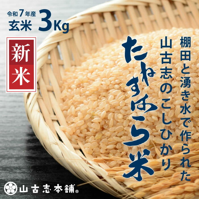 【ふるさと納税】米 