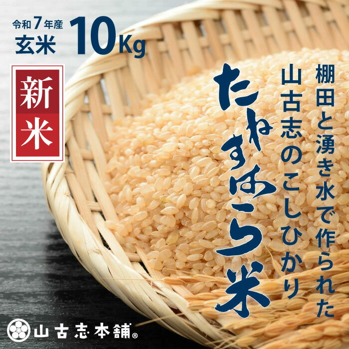 【ふるさと納税】米 10