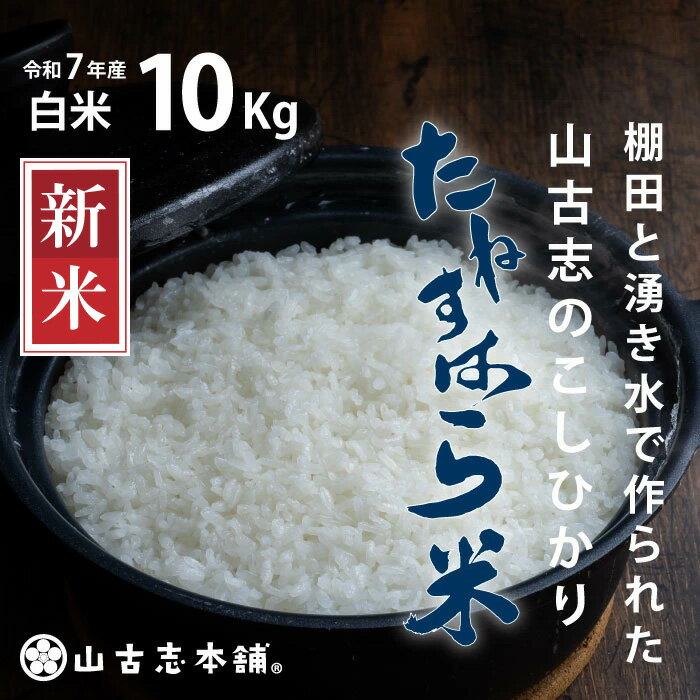 【ふるさと納税】米 10