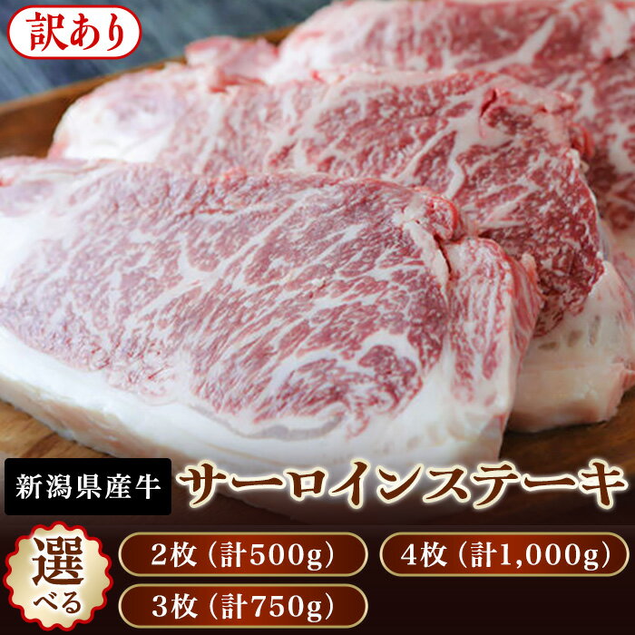 【ふるさと納税】訳あり 不揃い 肉 牛肉 サーロイン ランプ ヒレ ステーキ 焼肉 長岡牧場 選べる容量・部位 300g 450g 500g 600g 750g 900g 1000g 1kg 新潟県長岡市産（株式会社フードコネクト）