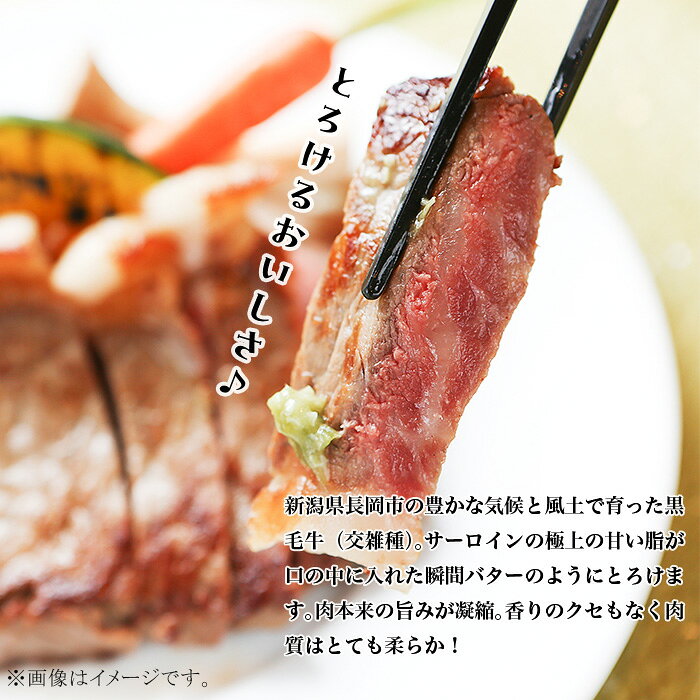 【ふるさと納税】訳あり 不揃い 肉 牛肉 サーロイン ランプ ヒレ ステーキ 焼肉 長岡牧場 選べる容量・部位 300g 450g 500g 600g 750g 900g 1000g 1kg 新潟県長岡市産（株式会社フードコネクト）