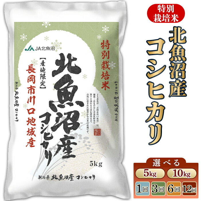 【ふるさと納税】米 